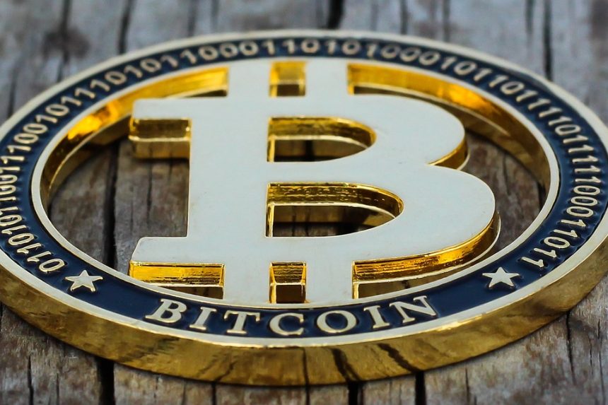 From Whales to Retail: How Everyday Investors Are Shaping Bitcoin’s Future